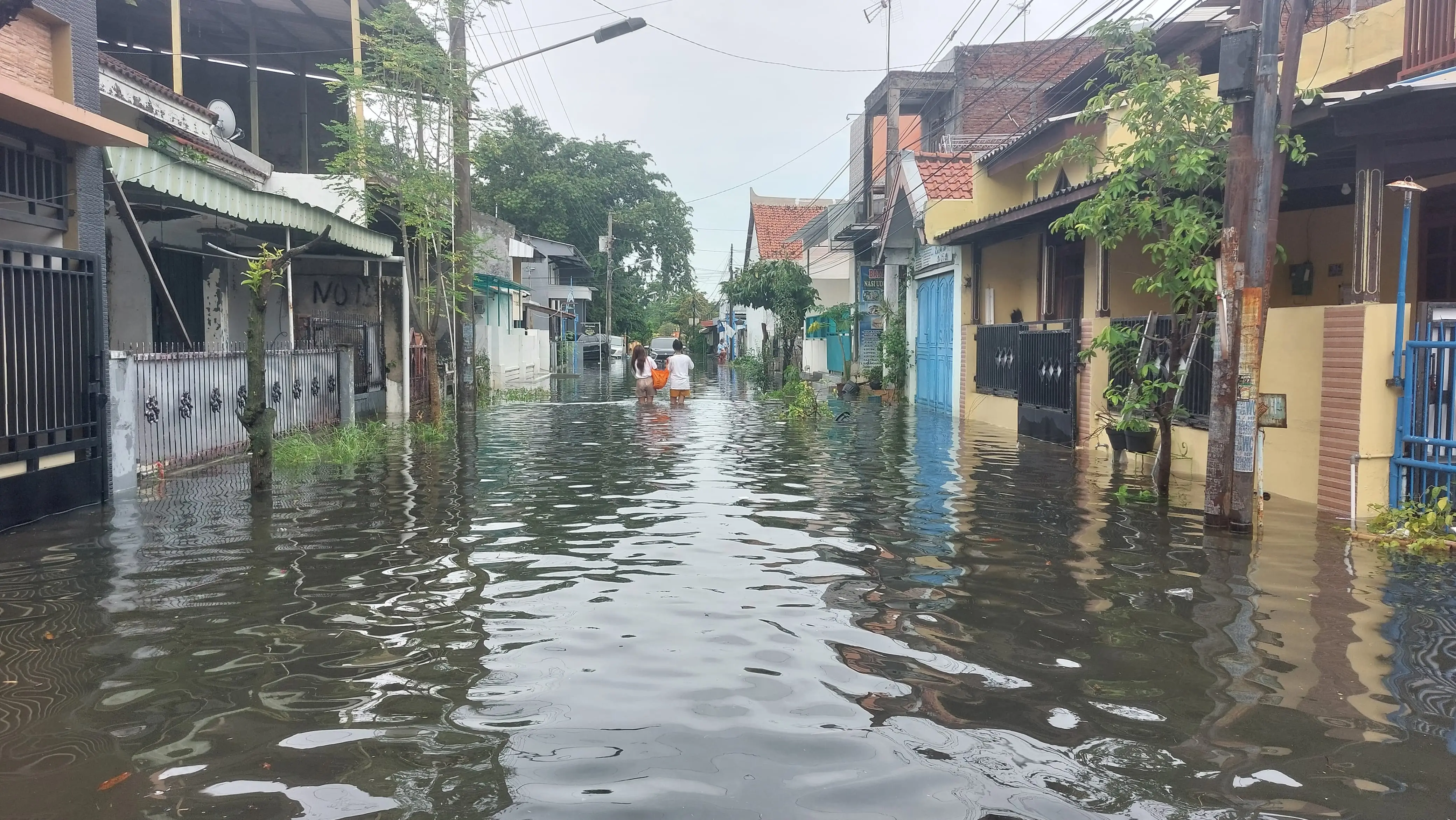 Banjir Rendam Tiga Kecamatan di Tegal